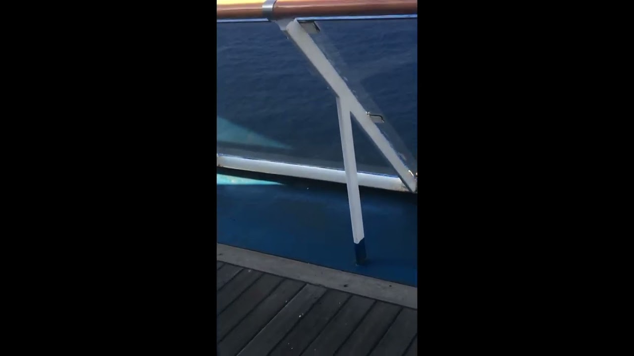 Carnival Pride - Cabin 7298 - Video 3