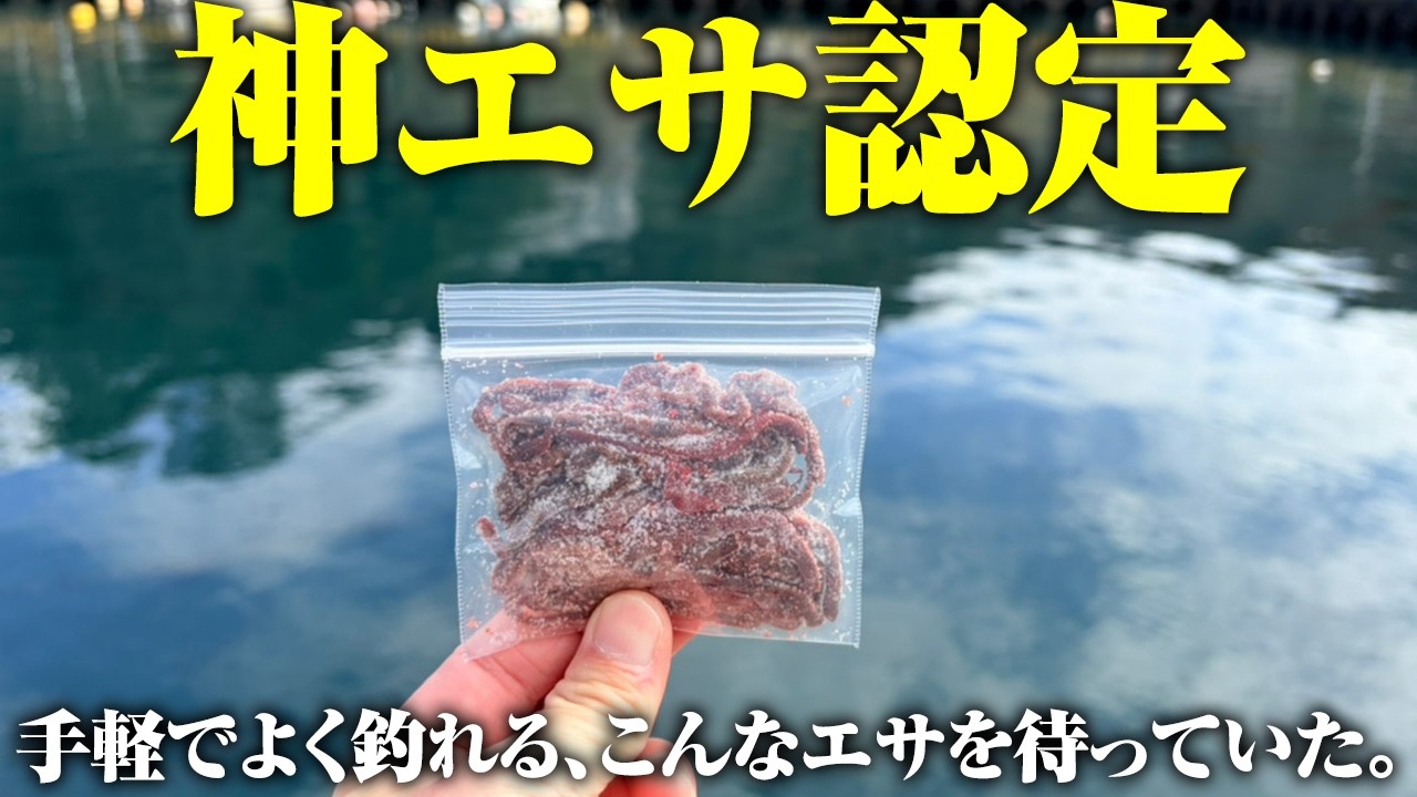 リピ買い確定レベルの手軽さと釣れっぷり。ネットで見つけた“とある餌”がマジで優秀でした。