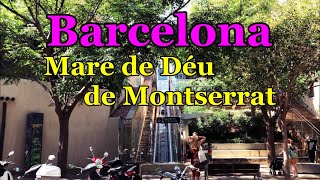 [[SPAIN-BARCELONA]] Walking along Mare de Déu de Montserrat street 12/SEP/2020 02:30 pm
