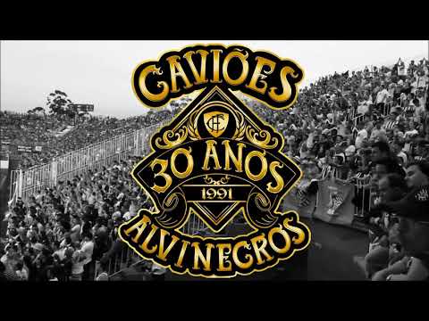 SAMBA 30 ANOS - GAVIÕES ALVINEGROS