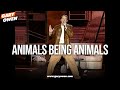 Animals Being Animals | Gary Owen