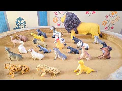 Into the Calm Wild: Hoofed Jungle Animals and Hibernating Species Together