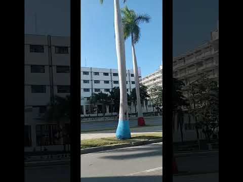 La Habana 2026 Av. Rancho Boyeros, de Calzada del Cerro a Carlos III - Cuba feb #cubasinchanchullo