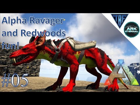 Redwood Adventure!  E05 Ark Eternal - The Center Map and Ark Eternal