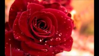 Alan Jackson- Like Red on a Rose