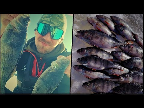 JUURUSVEDELLÄ PILKILLÄ | FILEAHVENTA NOUSEE JA ISOT HUKASSA!