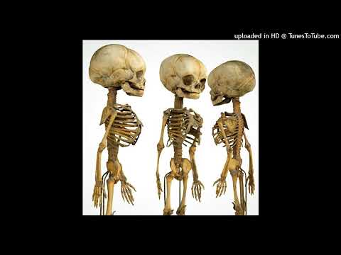 [FREE] *HARD DNB* NASCAR ALOE x LIL DARKIE TYPE BEAT - "pin" (prod. slxyman)