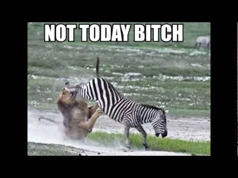 Let`s Watch 5 jungs - rap aus Waiblingen.[German]