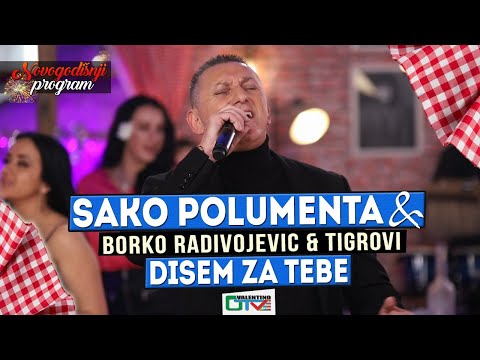 SAKO POLUMENTA - DISEM ZA TEBE | 2022 | UZIVO UZ ORK. (BORKO RADIVOJEVIC &TIGROVI) | OTV VALENTINO