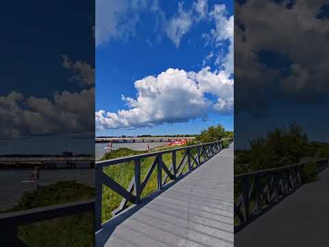Wideo - Kładka pieszo - rowerowa nad zatoką - YouTube