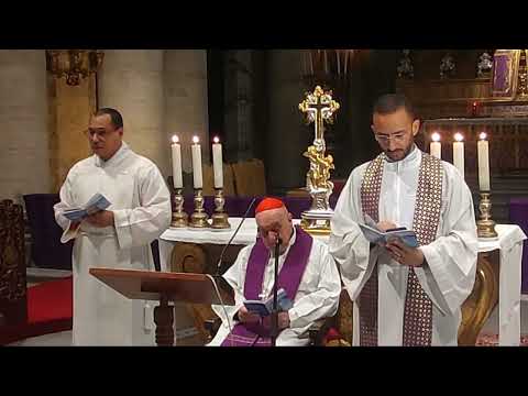 Via Crucis di Fraternità - Card. Angelo Comastri