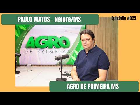 Presidente da Nelore MS explica preço da carne para o consumidor