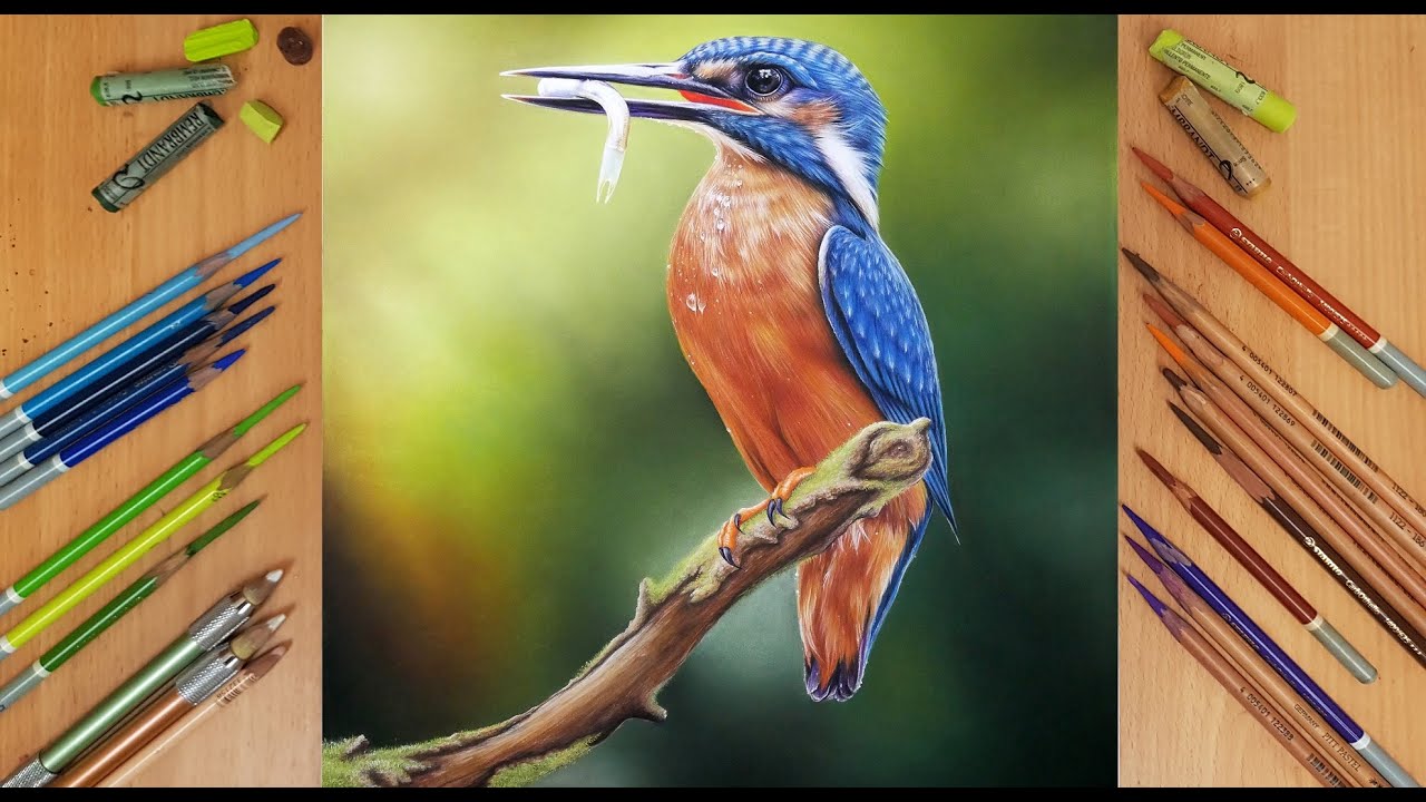 Drawing Portrait of Kingfisher | Pastel Pencils | KazemFineArt