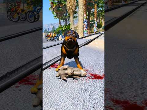 Dogs teach us love in its purest form | Part 184 |🥺