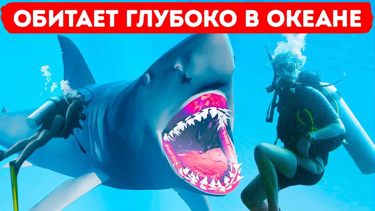 8 глубоководных акул, которые повергнут вас в ужас