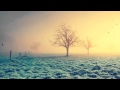 Stephan Bodzin - Fahrenheit (24-Bit Audio)