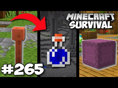 THE FINAL EPISODE - Minecraft Survival (#265)