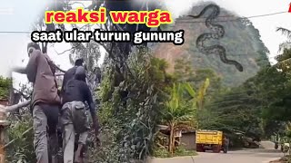Download lagu Kesaksian Warga Melihat Ular Raksasa Turun  Dari Gunung !! Mengejutkan Misteri Gunung nyungcung mp3