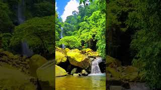 Download lagu Suasana curug cigentis loji karawang #shorts #suasanapedesaan  #wisatakarawang #lojikarawang mp3