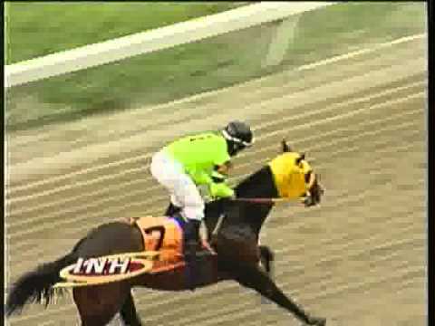 Resumen Domingo, 03 de Noviembre de 2013 - La Rinconada