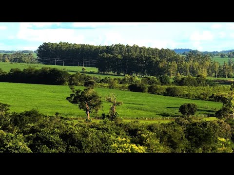 Paragay - Landschaft / Paisaje - Itapua - Obligado im Westen - Sommer - 11.01.2026