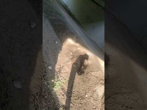Matthias - Video 3