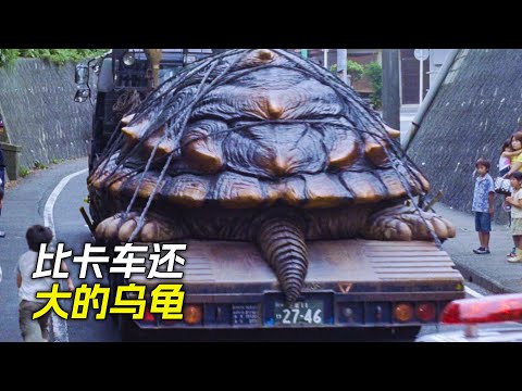 烏龜獸