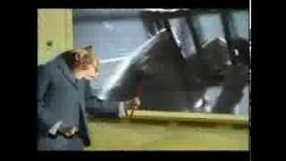 Negativland - Gimme the mermaid