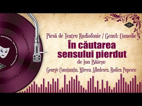 În căutarea sensului pierdut - de Ion Băieșu | Teatru pe Vinil