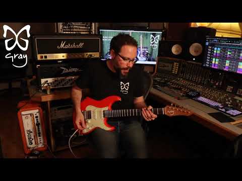 Gray Guitars ONLINE SHOP LAUNCH!!