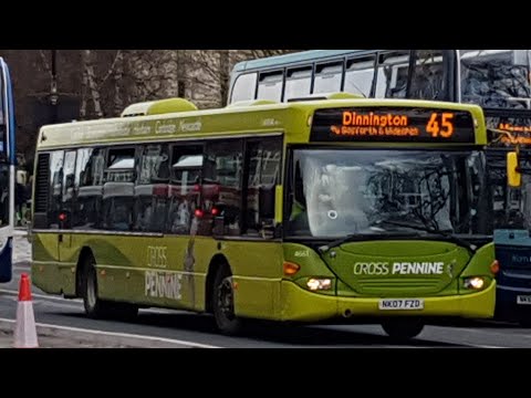 Nice ZF | Sapphire 44 | Arriva North East 4661 | Scania Omnicity CN94UB