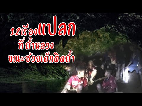 Sms สาวที่น่าตื่นเต้นที่จะกระตุ้น ครีมสำหรับรีดสมาชิก