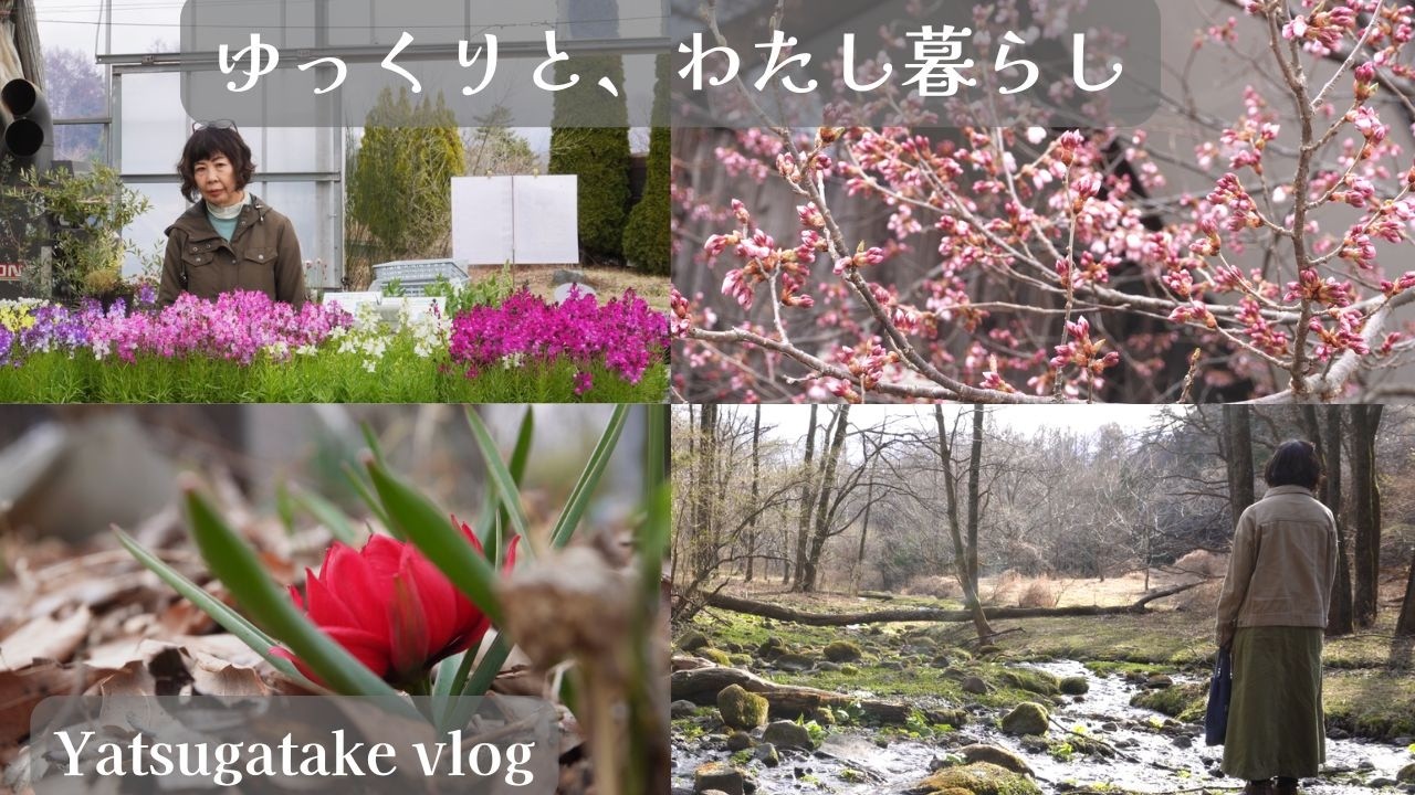 【🍃232話】春が来て庭に飛び出したくなった日🌷/花苗を求めて🌸/湧き水と小川と小さな緑🌳/しっとりキャロットマフィン🥕/大量の八朔ピールが出来た🍊/60代・八ヶ岳南麓ひとりと猫6匹の田舎暮らし😸🐈