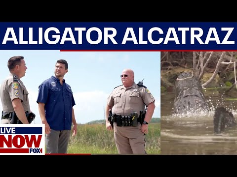 Video | FL AG offers Trump "Alligator Alcatraz" to detain migrants