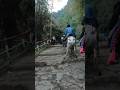Kitna Risky Hai Kedarnath Ka Trek Kedarnath Trek View Kedarnathtrek Kedarnathtrekking