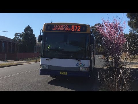 Interline Bus Services: m/o 9618 - Mercedes-Benz O500LE Bustech VST