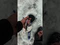 Video Thumbnail for Rainbow trout #icefishing #shorts #troutfishing