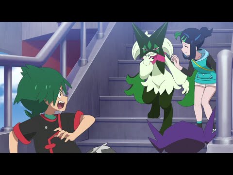 Meowscarada teases Uruto