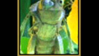 Some Other World for a Bug&#39;s Life