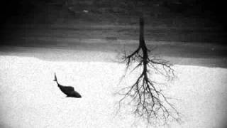 The faction - Not mine