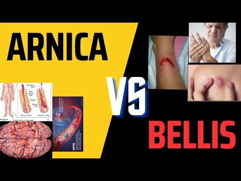 ARNICA VS BELLIS | COMPARISON BETWEEN ARNICA MONTANA & BELLIS PERENNIS | EASY EXPLANATION IN HINDI |