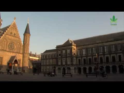 Het Nederlandse gedoogbeleid is failliet | Miniserie | Deel 2