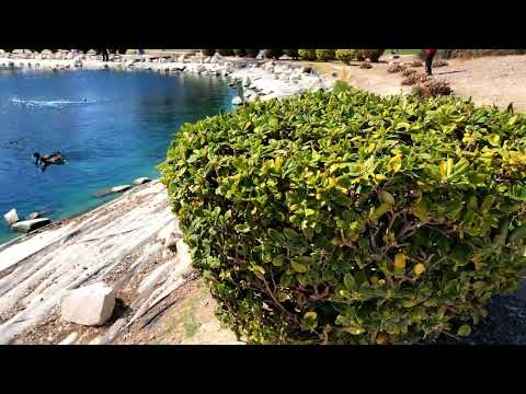 At Craig Ranch Regional park,it’s in the north Las Vegas Nevada (USA)it’s beautiful park,