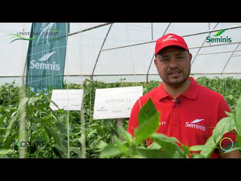 Filer 2  Motatei Dolj 09 12 2020