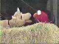 Classic Sesame Street Gladys The Cow Vs Elmo