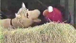 Classic Sesame Street - Gladys the Cow vs. Elmo