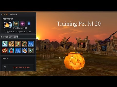 Cabal Online How To Train Covenant Pet Level 11-20 || Training Pet Kid Jack level 20