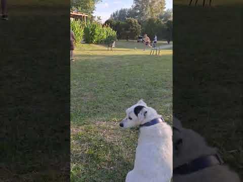 día en la quinta de San Antonio de Areco.