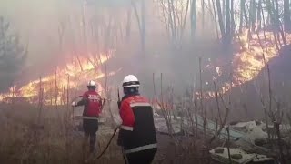 Huge forest fire in S. Korea forces 100's to evacuate