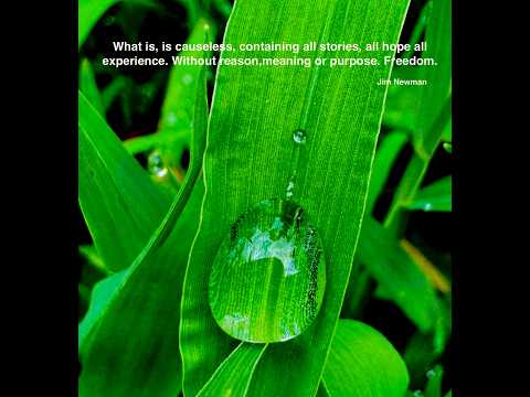 Jim Newman | Non Duality | Zoom July 2025